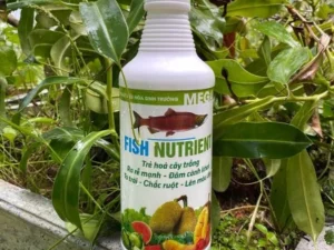 Phân bón Fish Nutrient (2)