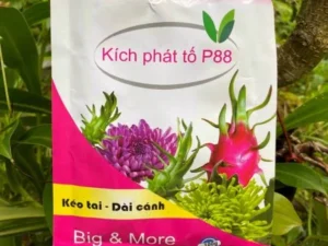 Phân bón Kích phát tố P88 (2)