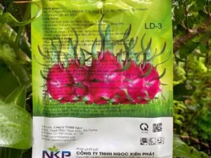 Phân bón Kích phát tố P88 (3)