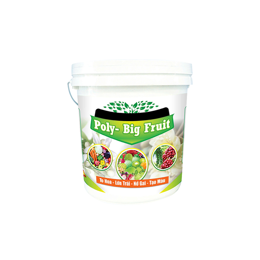 Poly Big Fruit