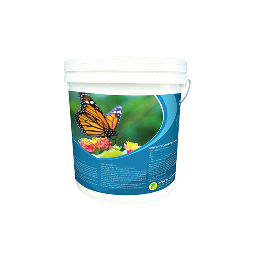 Poly Butterfly 1