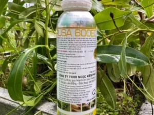 Thuốc trừ sâu Vua Sâu Rầy (3)