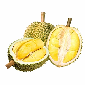 Cây sầu riêng